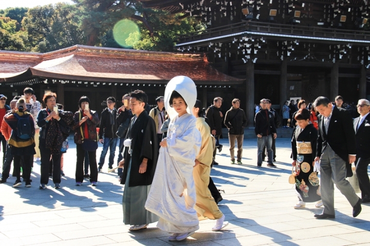 明治神宮 清正井 錯把美井當破井