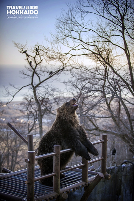 【D700+D750】北海道．聖誕 2016