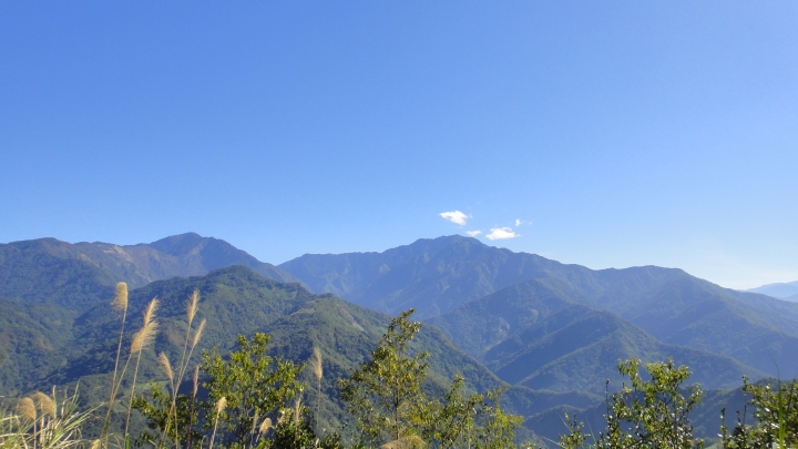 「神鵝瞎旅」之 武界林道 山碰壁