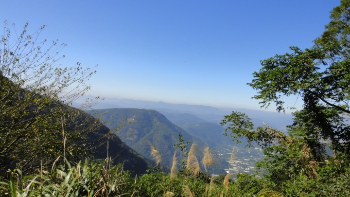 「神鵝瞎旅」之 武界林道 山碰壁
