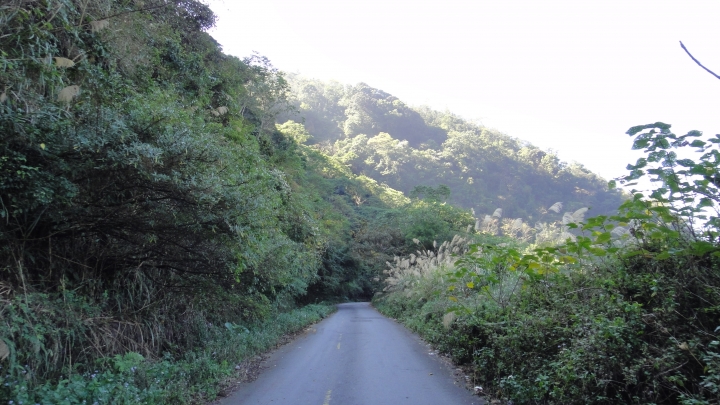 「神鵝瞎旅」之 武界林道 山碰壁