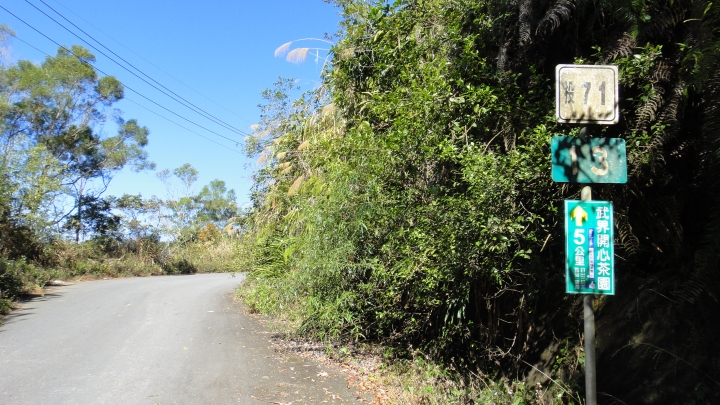 「神鵝瞎旅」之 武界林道 山碰壁