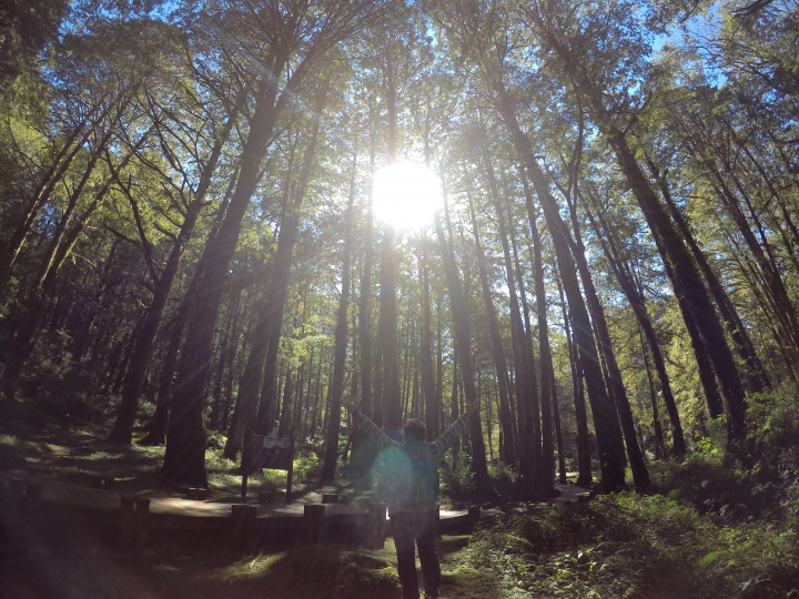 Gopro 5 Black 使用一個月的心得