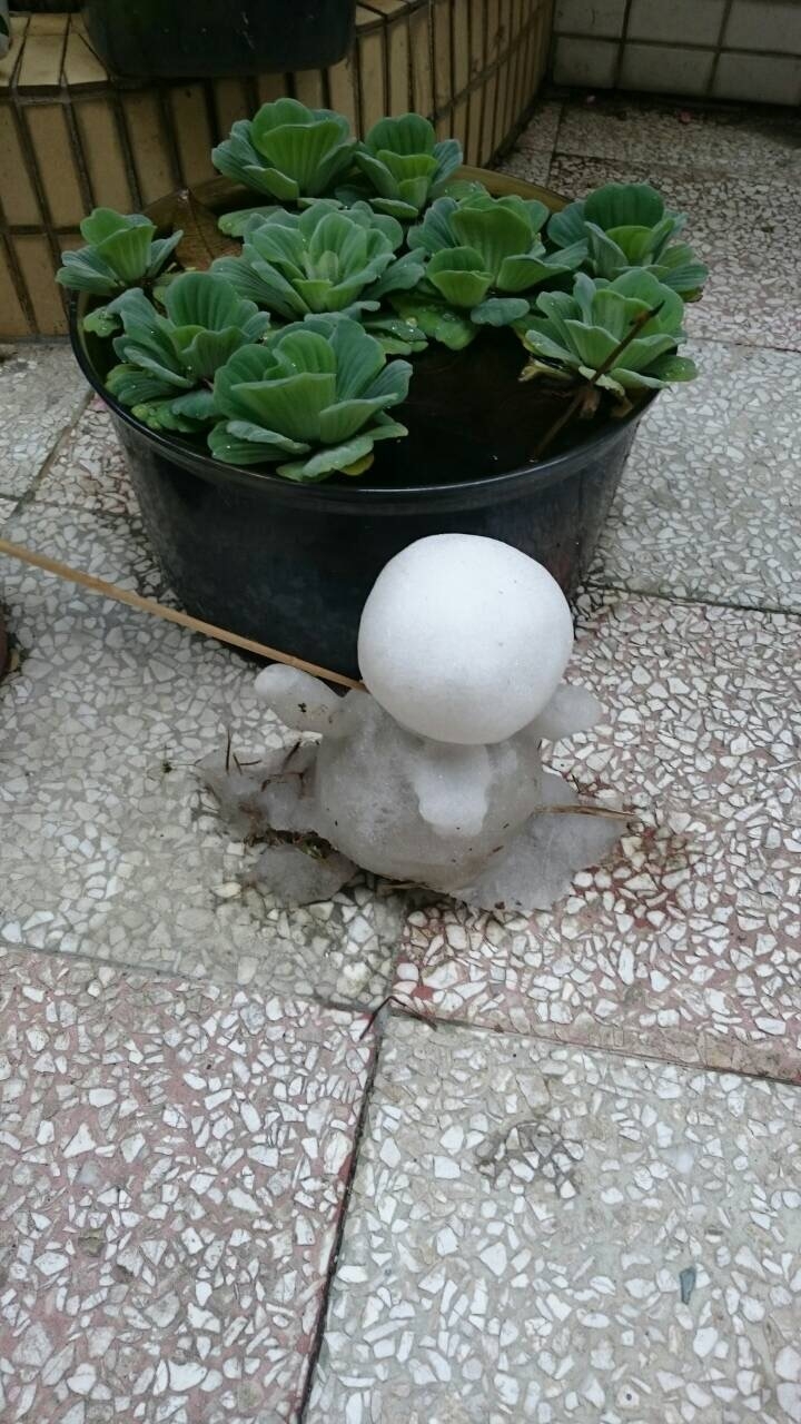 ［外景拍攝］雜物