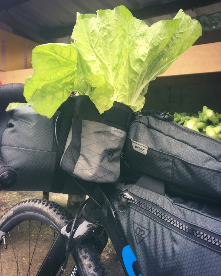 "流浪者日誌" - 坪溪古道 單車野營 bikepacking