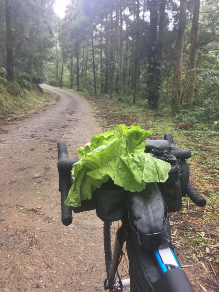 "流浪者日誌" - 坪溪古道 單車野營 bikepacking