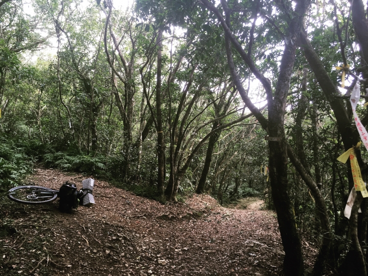 "流浪者日誌" - 坪溪古道 單車野營 bikepacking