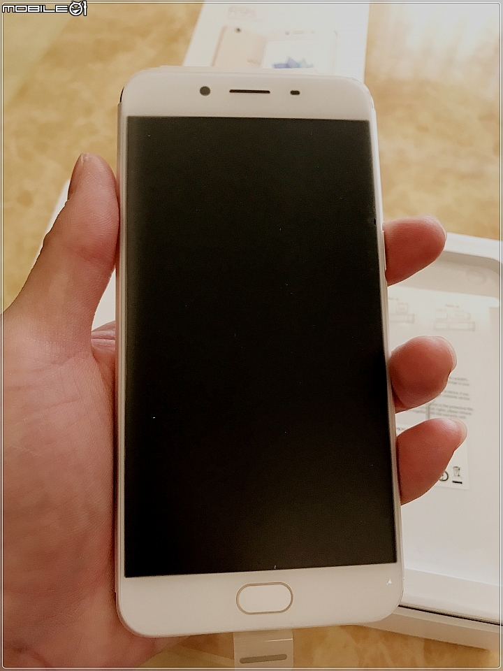 金雞報喜年的OPPO R9s試用文章