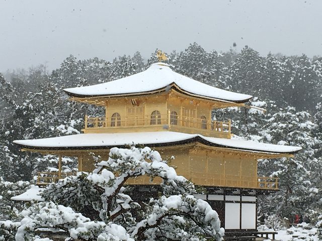 「京都景點」--雪化妝 金閣寺 ＋ 排隊名店魏飯夷堂