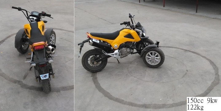 時隔兩年半,再來敗上一bike- 可側傾  雙前輪 三輪自行車
