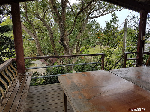 【苗栗 景點/美食】棗莊古藝庭園膳坊：客家菜料理餐廳/可愛動物區/庭院棗園區/假日休閒/春節遊玩