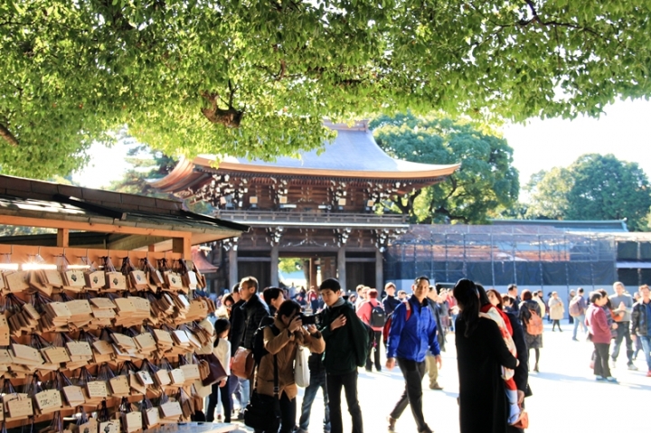 明治神宮 清正井 錯把美井當破井