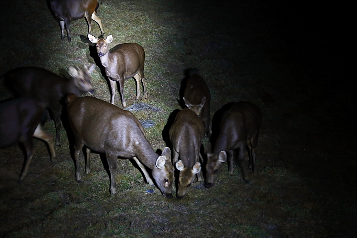 4日半之能高安東軍縱走