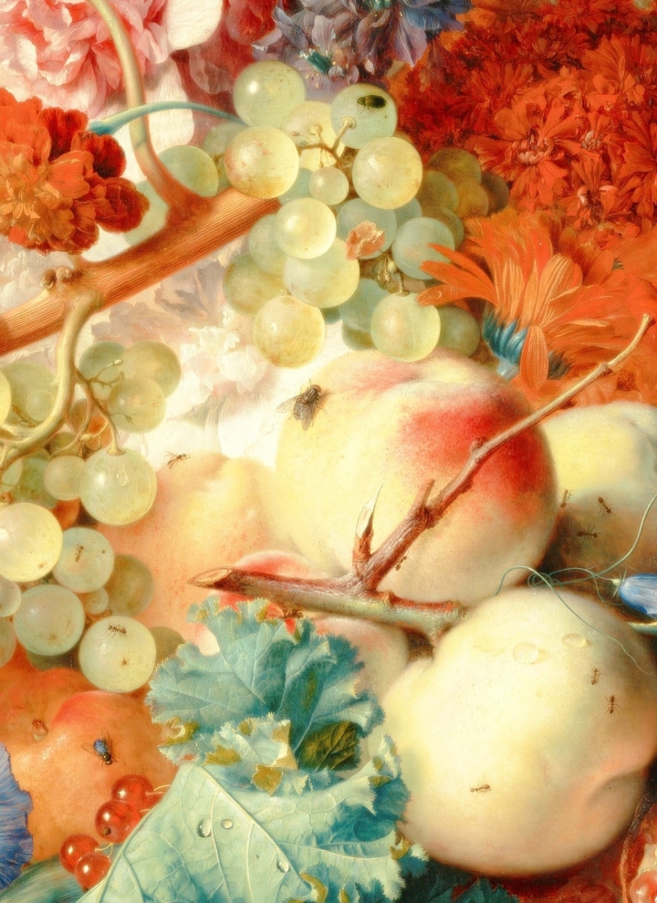 ［藝術分享］Flowers of the local.