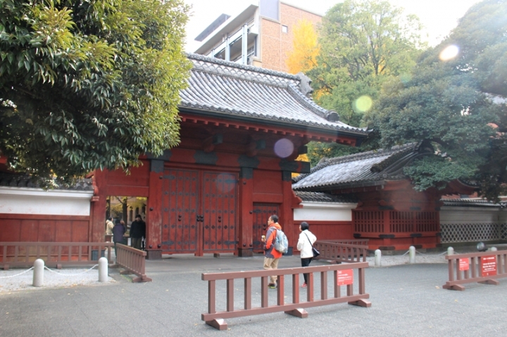 【東京大學】銀杏專攻! 菜市場行程卻心滿意足