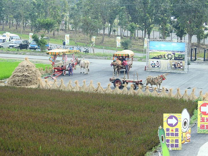 2017屏東熱帶植物博覽會增設天使花園蘭藝館，更繽紛美麗。