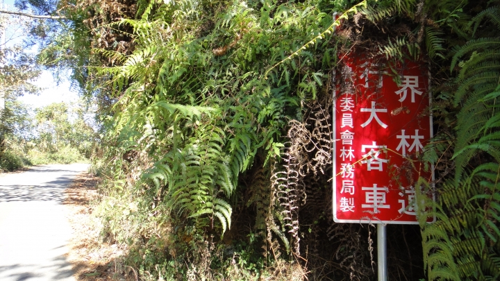 「神鵝瞎旅」之 武界林道 山碰壁