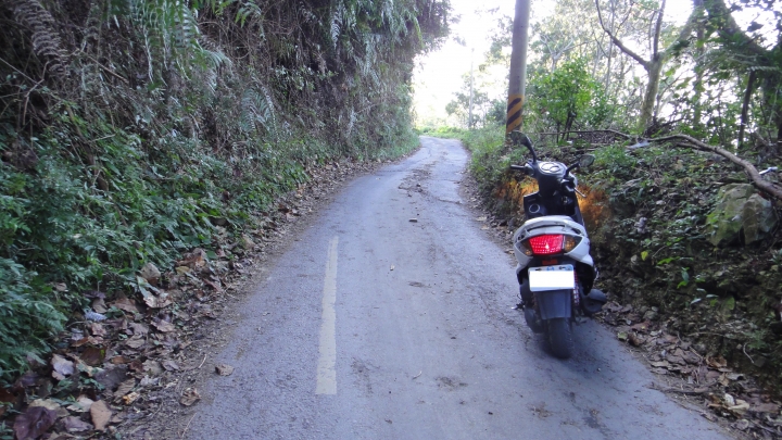 「神鵝瞎旅」之 武界林道 山碰壁