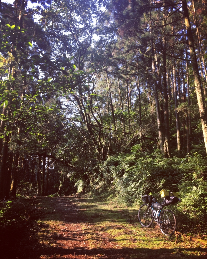 "流浪者日誌" - 坪溪古道 單車野營 bikepacking