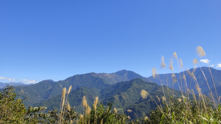 「神鵝瞎旅」之 武界林道 山碰壁