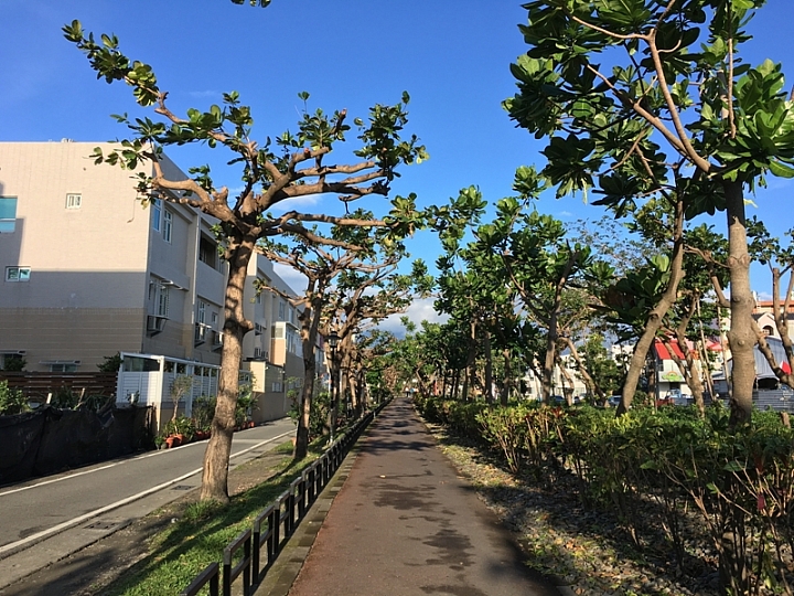 20161201~1215 阿里山、墾丁、綠島、武嶺放空之旅 (四) 台東、綠島、花蓮