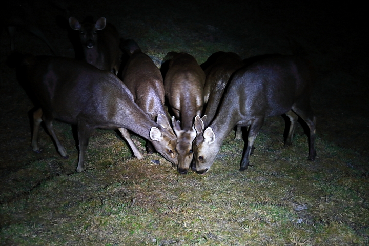 4日半之能高安東軍縱走