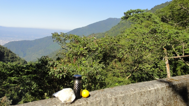 「神鵝瞎旅」之 武界林道 山碰壁
