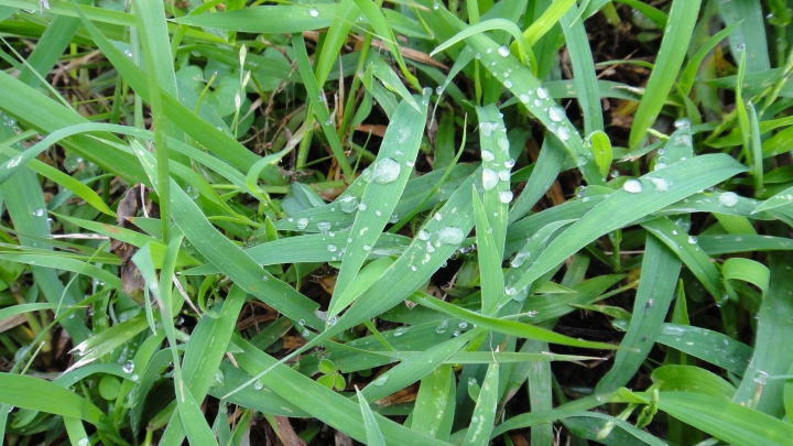 「神鵝瞎旅」環島游之Day3  屏東恆春-台東達仁