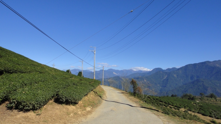 「神鵝瞎旅」之 武界林道 山碰壁