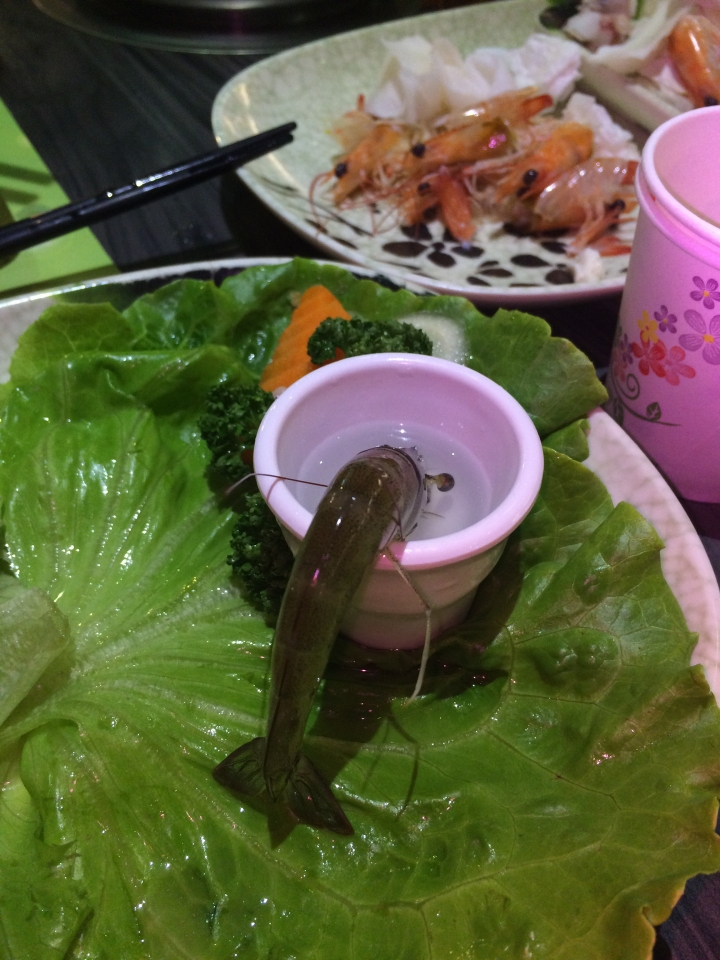 ［外景拍攝］雜物