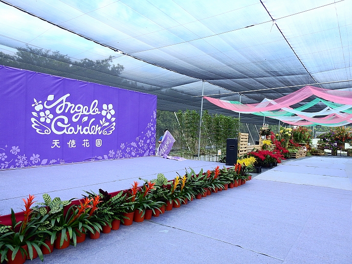 2017屏東熱帶植物博覽會增設天使花園蘭藝館，更繽紛美麗。
