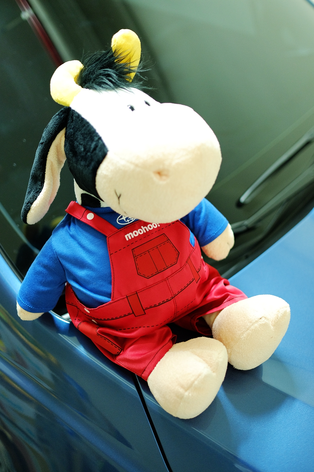 昴宿星團六芒星 FORESTER XT 開箱 I’m Subarist