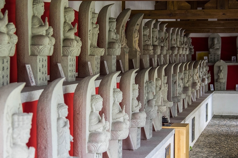 騎車去加羅湖順便環島