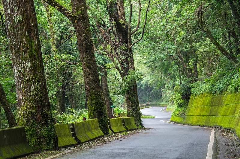 騎車去加羅湖順便環島