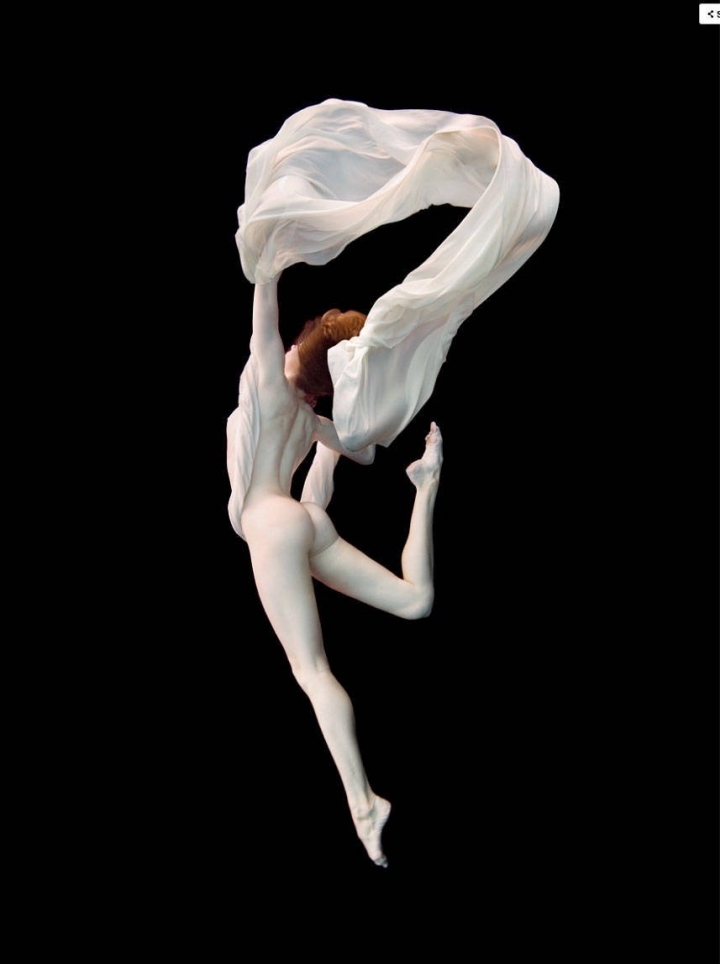 ［藝術分享］Underwater photos by Peter Benke