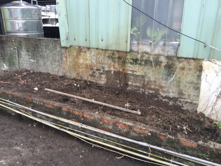 過年清理花圃，看看有沒有版友有需要，順便問一下有人知道怎麼清理嗎