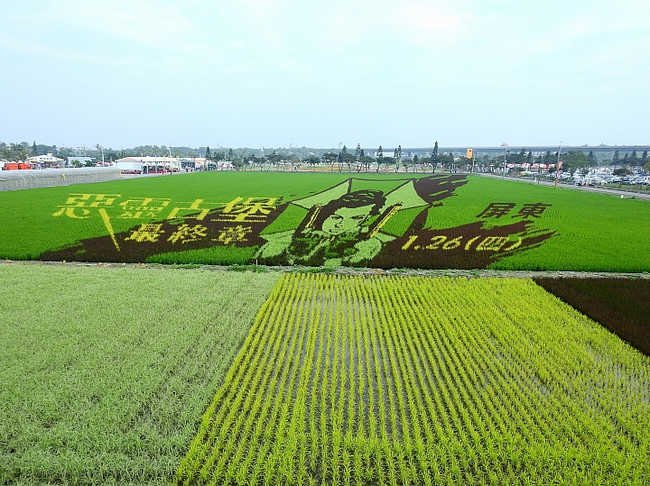 2017屏東熱帶植物博覽會增設天使花園蘭藝館，更繽紛美麗。