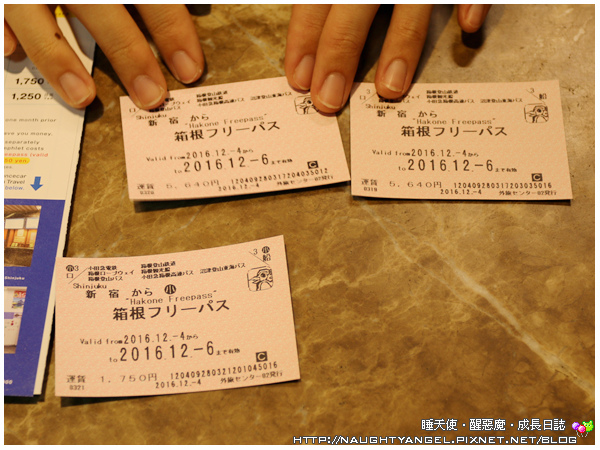 前進箱根六大交通金甘單～小田急浪漫特快、空中纜車、登山巴士、登山電車、海賊船、登山纜車，善用箱根周遊券Freepass 吃到飽