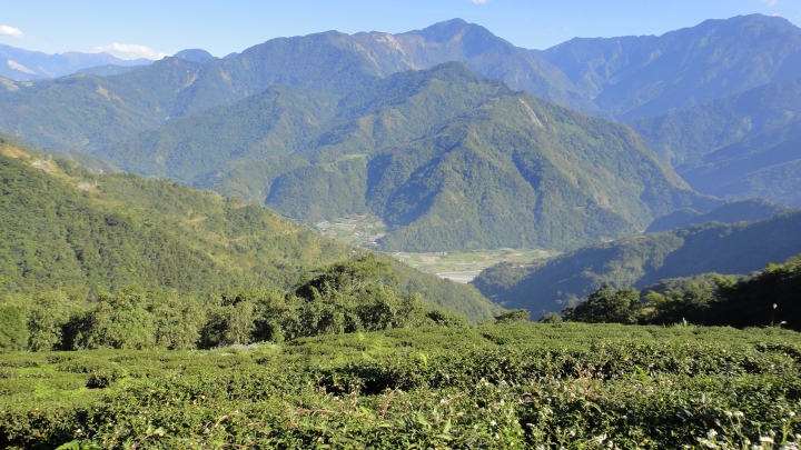 「神鵝瞎旅」之 武界林道 山碰壁