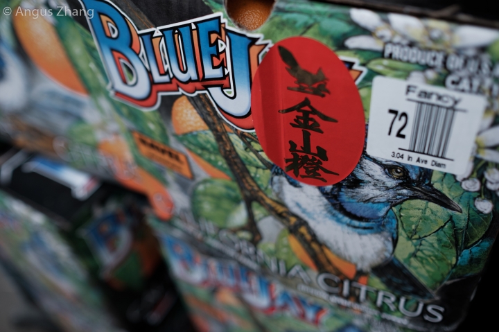 舊金山 唐人街