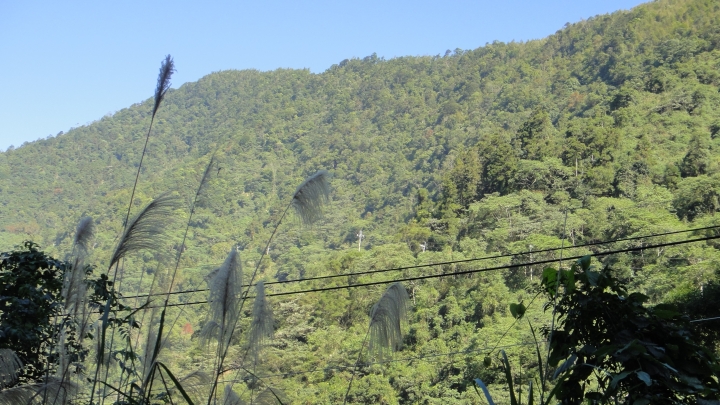 「神鵝瞎旅」之 武界林道 山碰壁