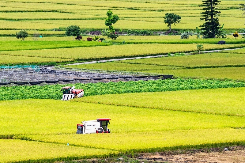 騎車去加羅湖順便環島