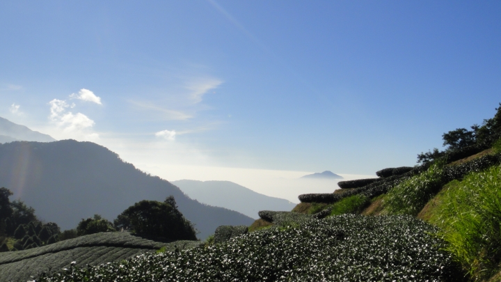 「神鵝瞎旅」之 武界林道 山碰壁