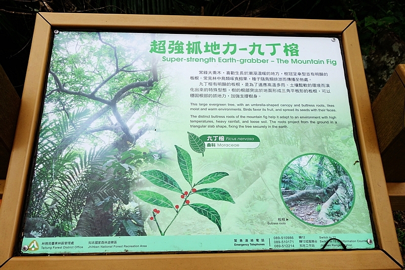 20161201~1215 阿里山、墾丁、綠島、武嶺放空之旅 (四) 台東、綠島、花蓮
