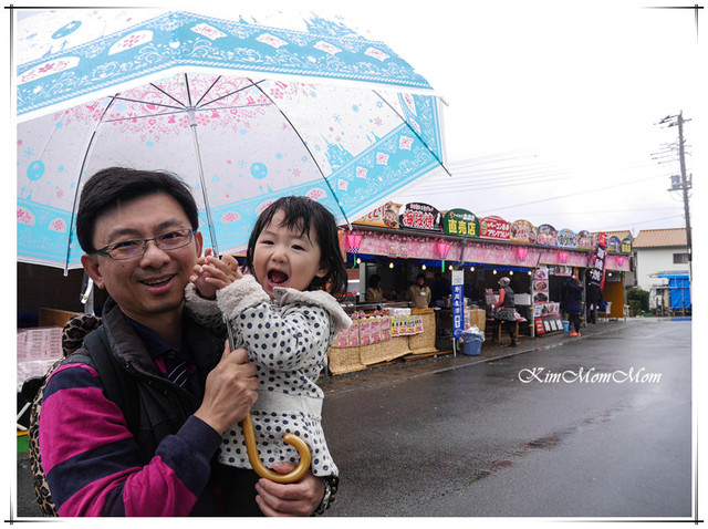 ❀静岡県 河津町 ▍年度盛大活動。河津櫻花祭。日本關東最早盛開，花期最長!2017/2/10-3/10
