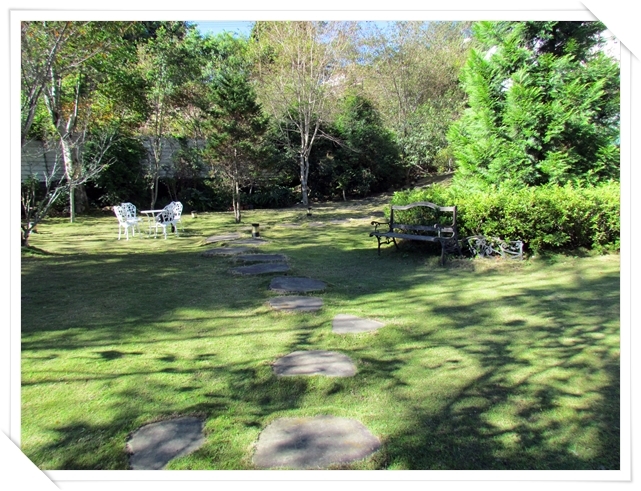 ▌南投清境旅遊▌可愛綿羊及超大草皮的清境農場&清境歐式風格民宿