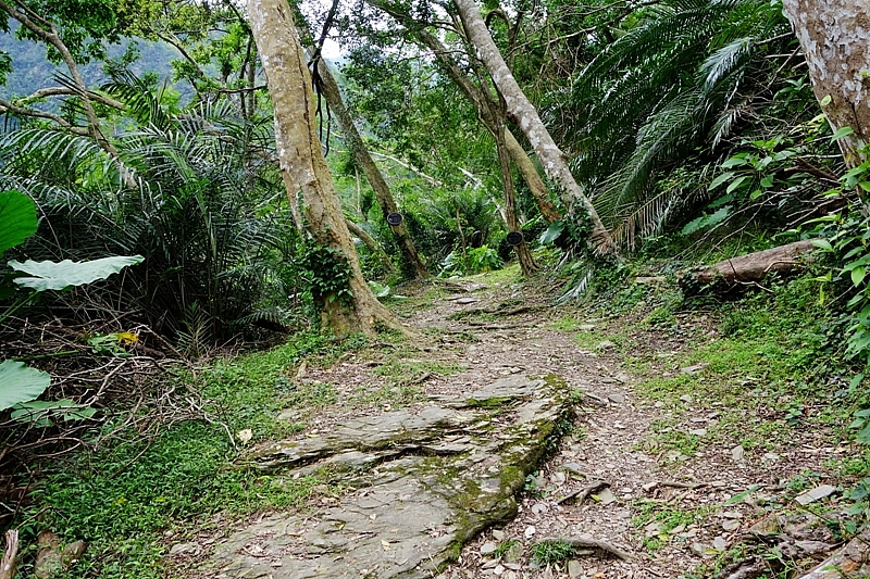 20161201~1215 阿里山、墾丁、綠島、武嶺放空之旅 (四) 台東、綠島、花蓮