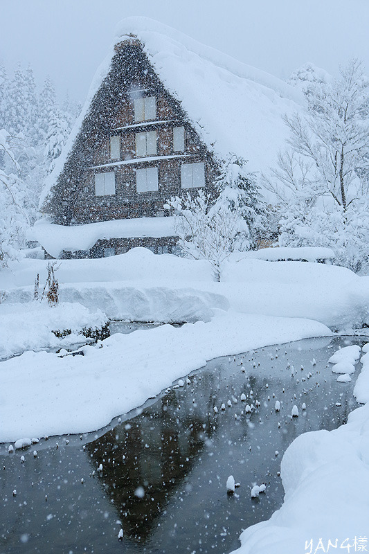 【岐阜】白川鄉合掌村冬季點燈，一年只有六天的夢幻時刻