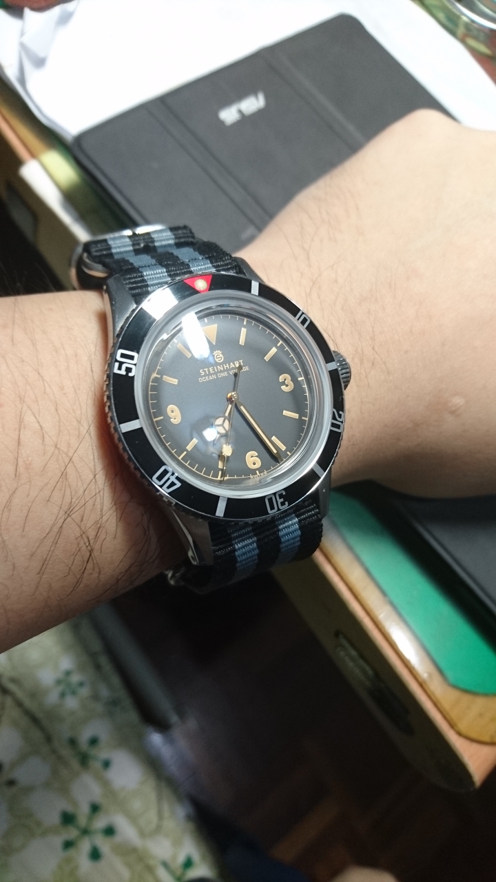 [開箱] Steinhart Ocean One Vintage 42 復古款