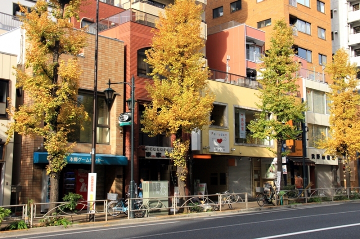 【東京大學】銀杏專攻! 菜市場行程卻心滿意足